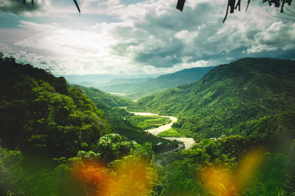 kadamba plateau goa